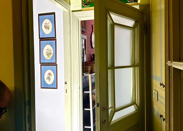 Luxury Deco Painter Ca' Dottori *